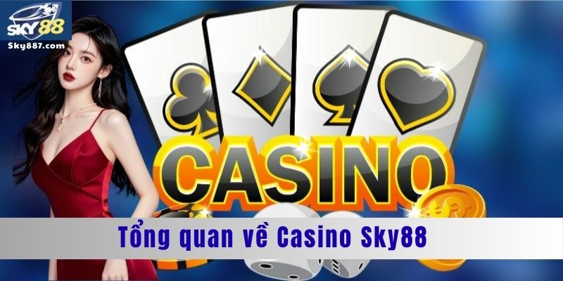 Tổng quan về Casino Sky88