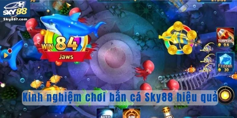 Kinh nghiệm chơi bắn cá Sky88 hiệu quả